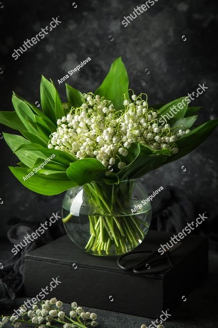 Букет ландышей на черном фоне