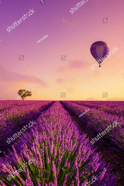 Воздушный шар и лаванда