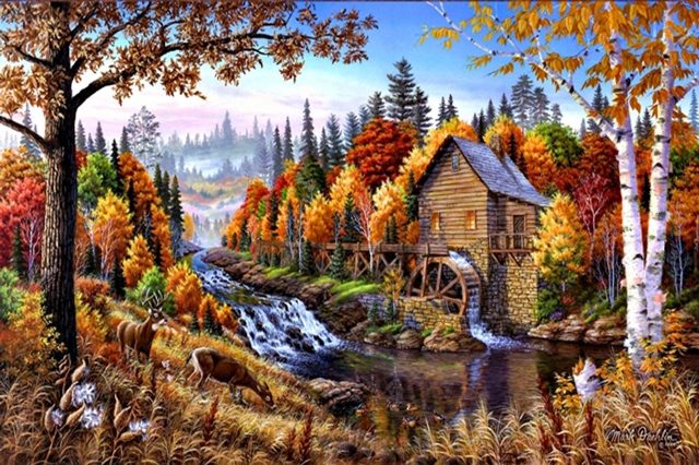 дары природы 