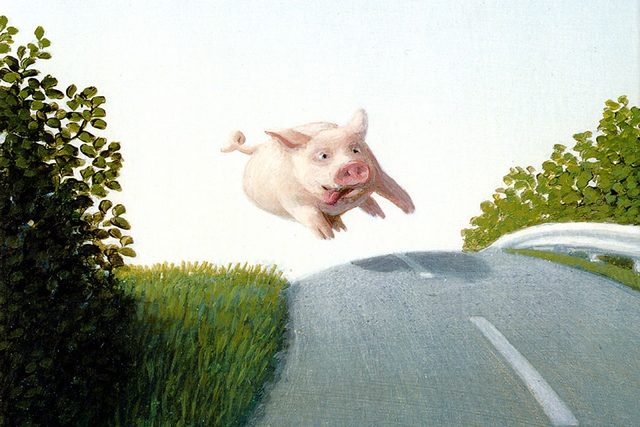 бегущий поросенок 