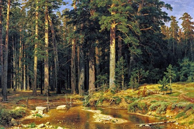 корабельная роща