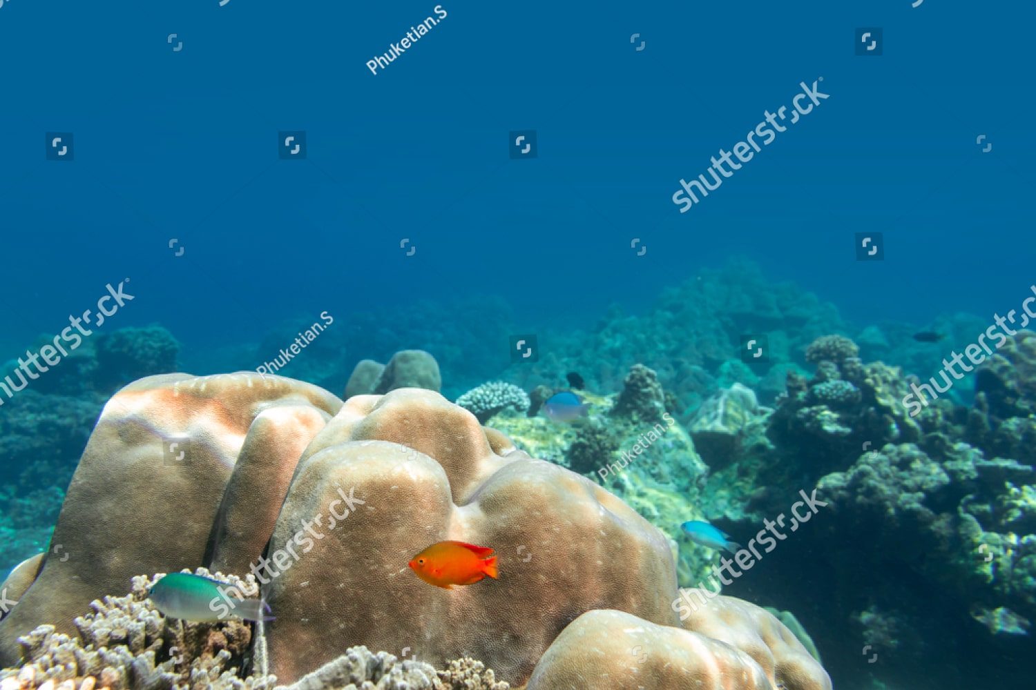 Морское дно