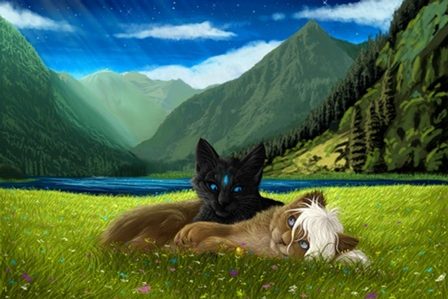 необыкновенные кошки