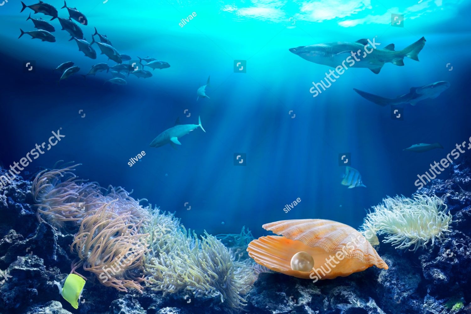 Подводный мир