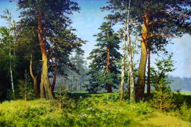 солнечная прогулка 