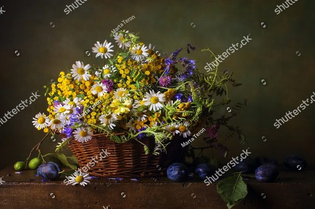 корзинка с ромашками