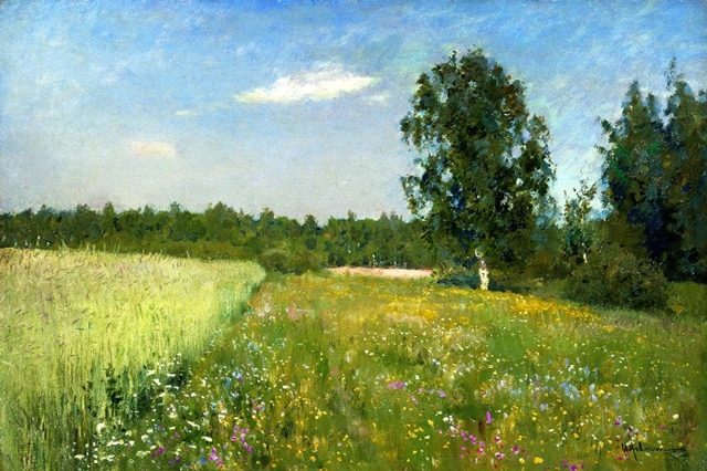 солнечное поле 
