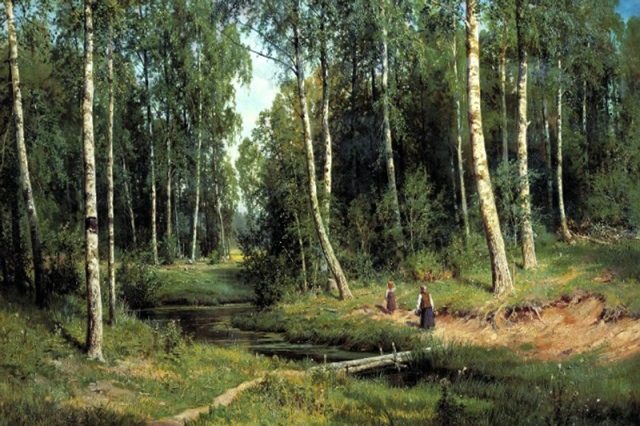 прогулка по лесу 