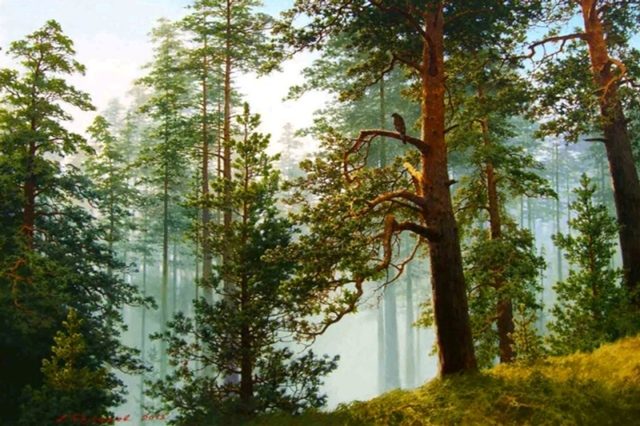 красота природы  