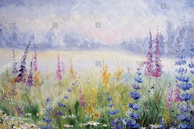 полевые цветочки