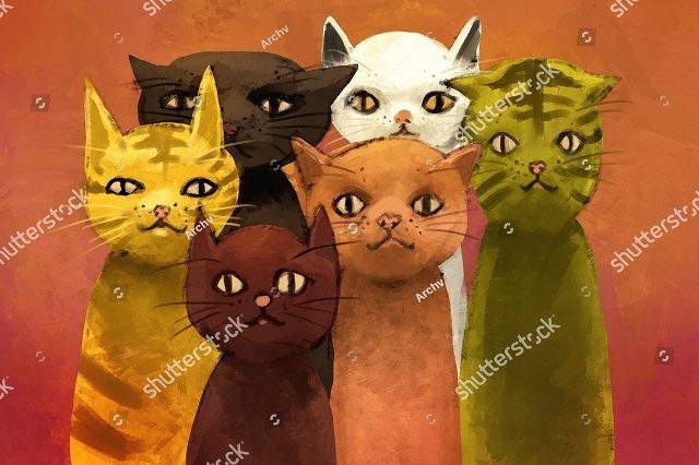 необычные коты 