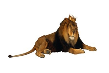 лев с короной