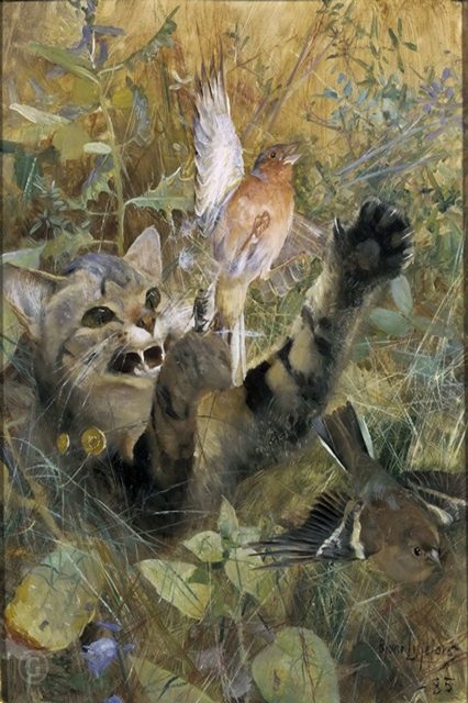  Кот и Зяблик