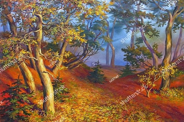 завораживающий лес