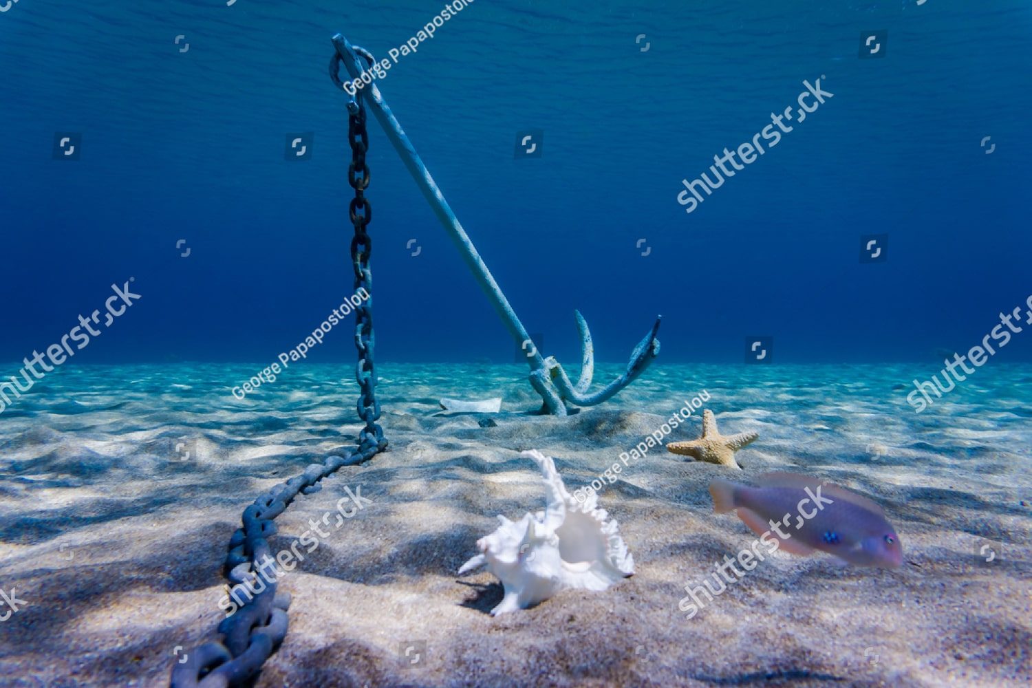 Морское дно