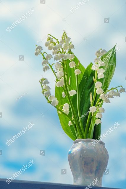 ландыши в белой вазе