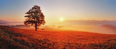 красный закат