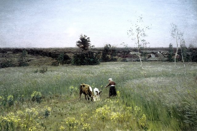 доярка в поле 