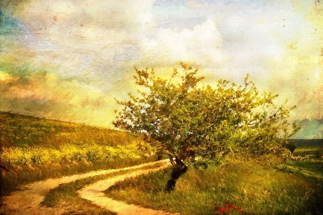Грунтовая дорога