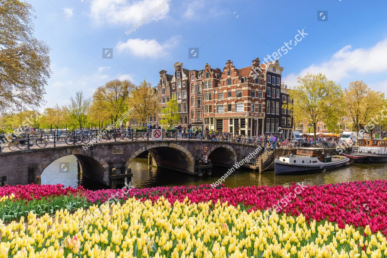 цветочный амстердам 106