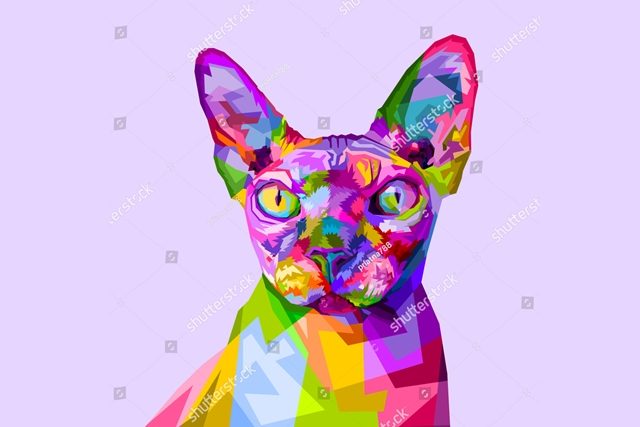 недовольный кот 
