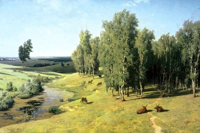 коровки на лугу 