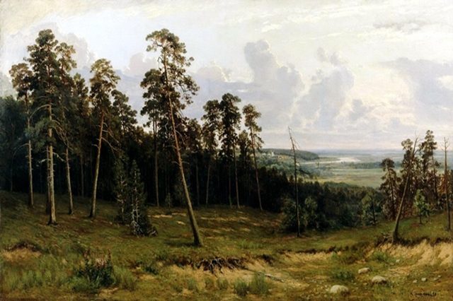 опушка леса 