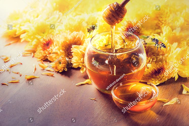Пчелы