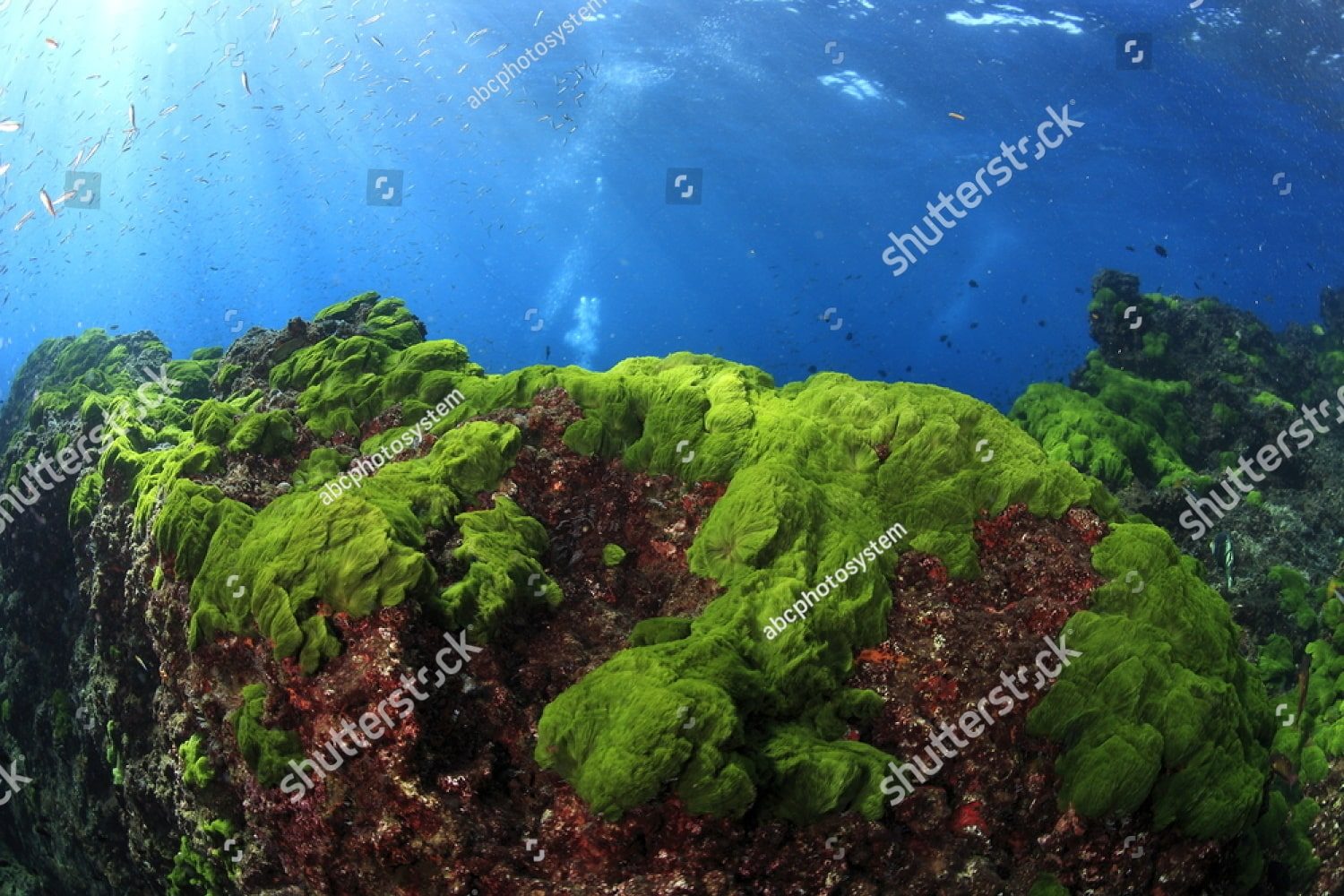 Морские скалы
