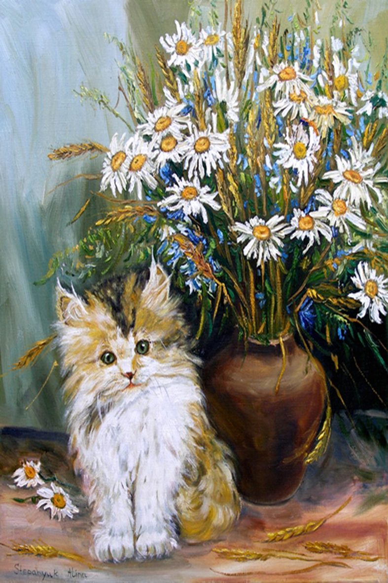 ромашки и котик