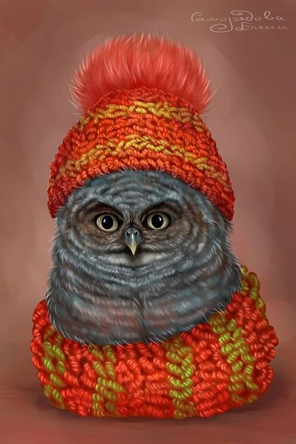 сова в шапке и шарфе 