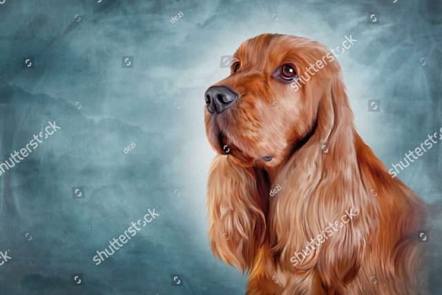 милый спаниельчик 