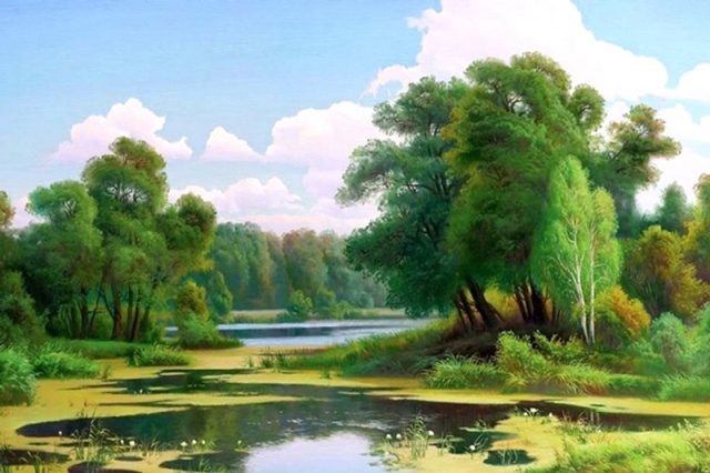 отдых у речки 