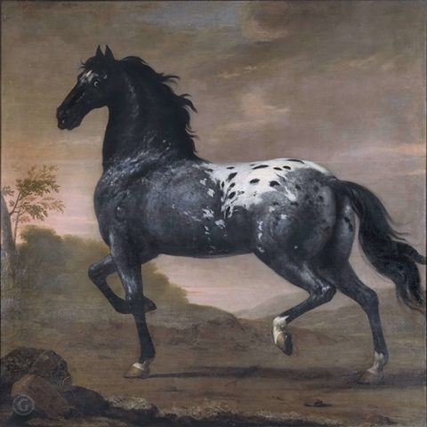 «Синий тигр» Карла XI