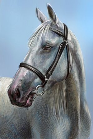 серая лошадь