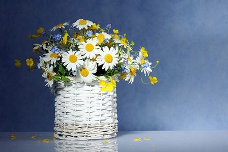 букет ромашек в корзинке