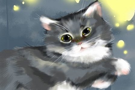 милый котик