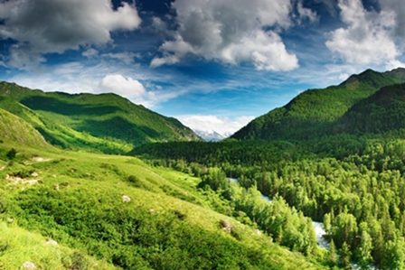 холмы