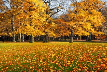 прекрасная осень
