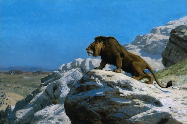 лев на скале 