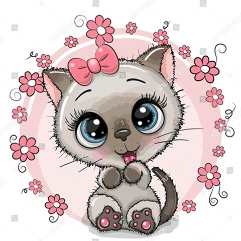 котик с бантиком