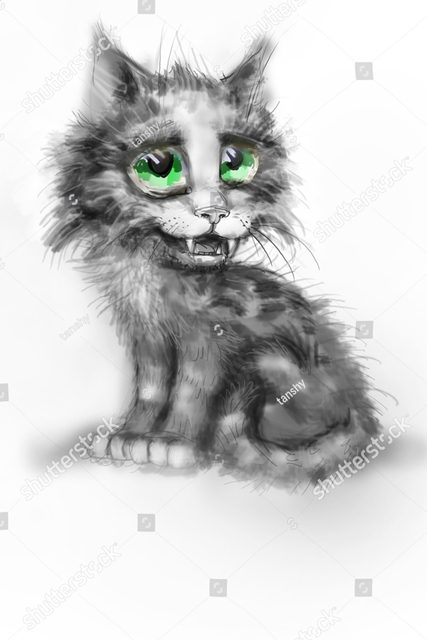 серый кот 