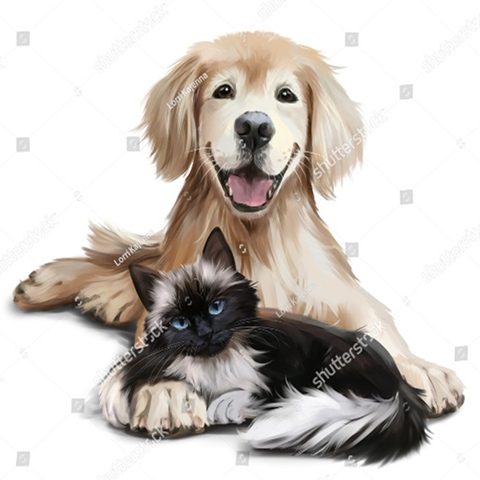 котик и песик