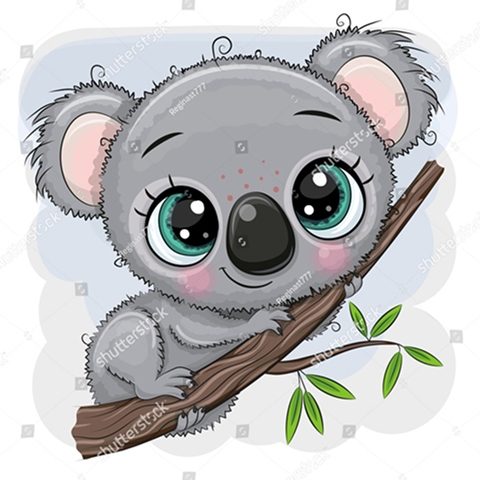 коала на веточке