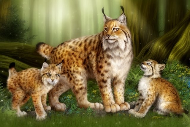 семья диких кошек 