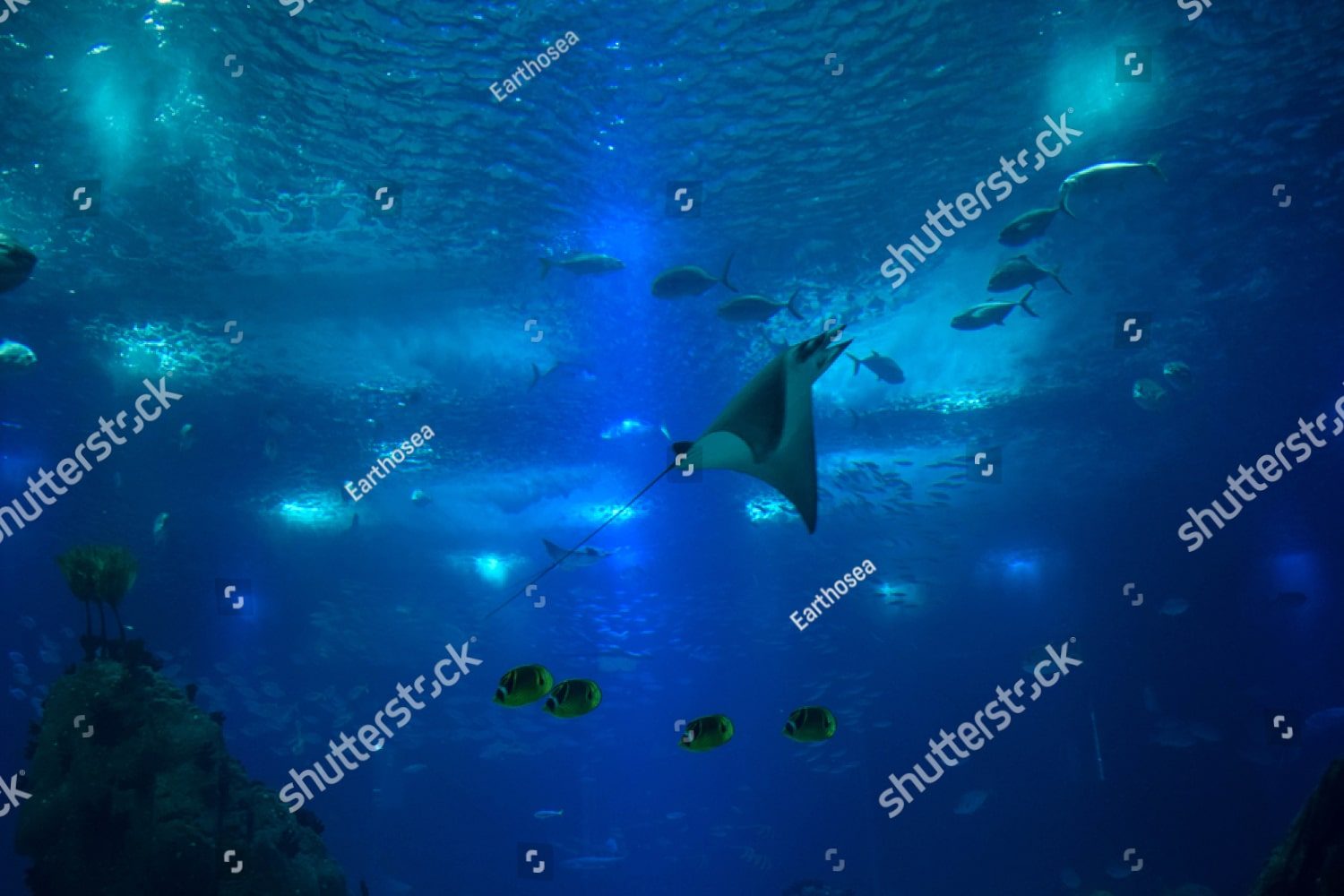 Подводный мир
