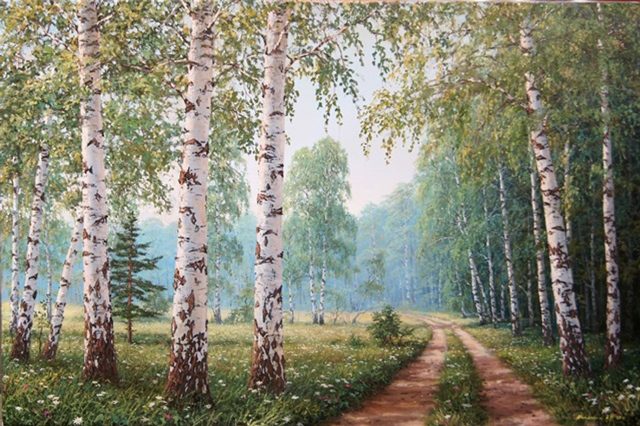 летние березы 