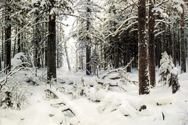 зимний лес 
