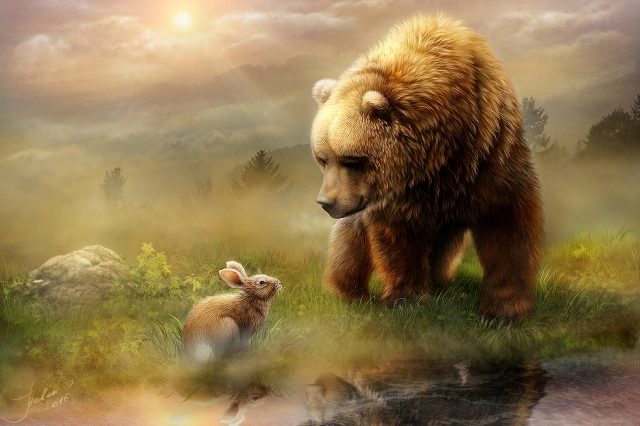 медведь и заяц 