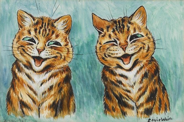 коты-близнецы 